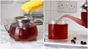 hibiscus flower tea