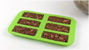 granola bars in the mold