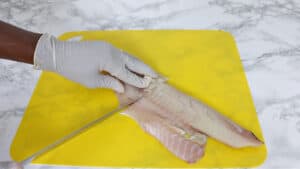 haddock fish