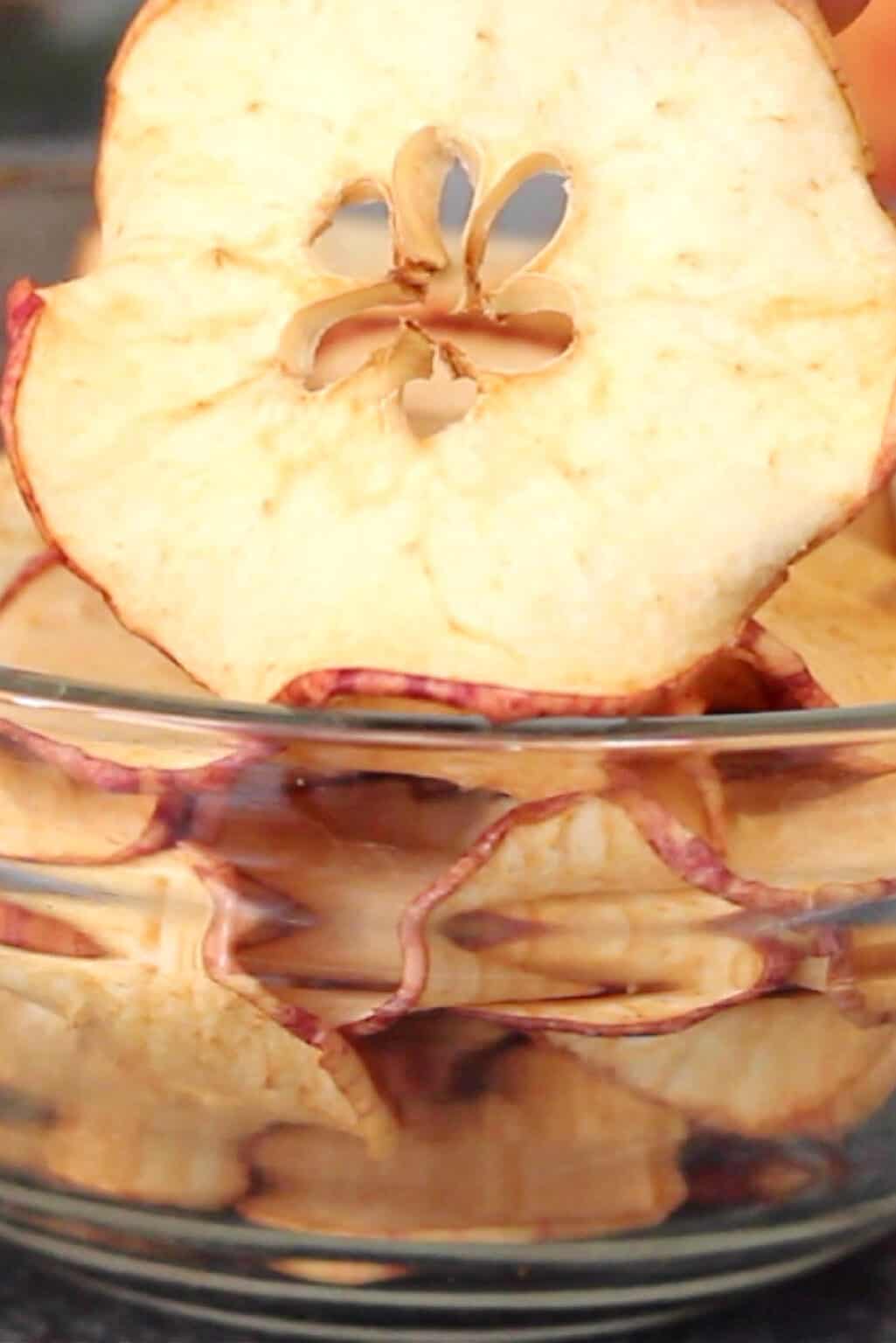 SunDried Apple Slices Recipe Yummieliciouz