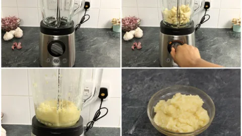 blending the garlic cloves